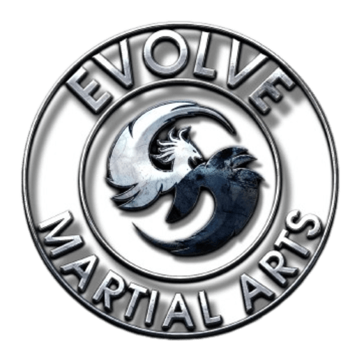 Evolve Martial Arts and Fitness  Kids and Adult Martial Arts in